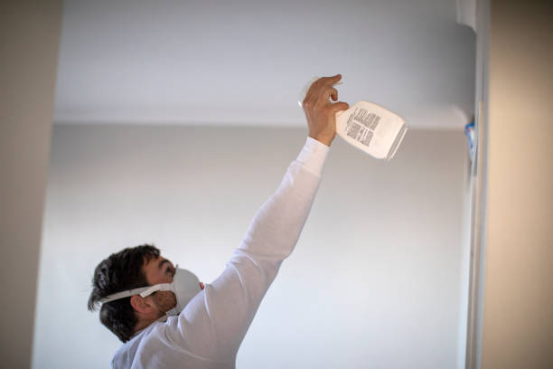Best Mold Testing  in Avodo Heights, CA
